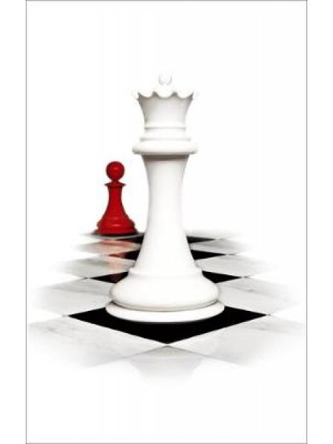 TWILIGHT SAGA 4: BREAKING DAWN WHITE COVER PB B FORMAT