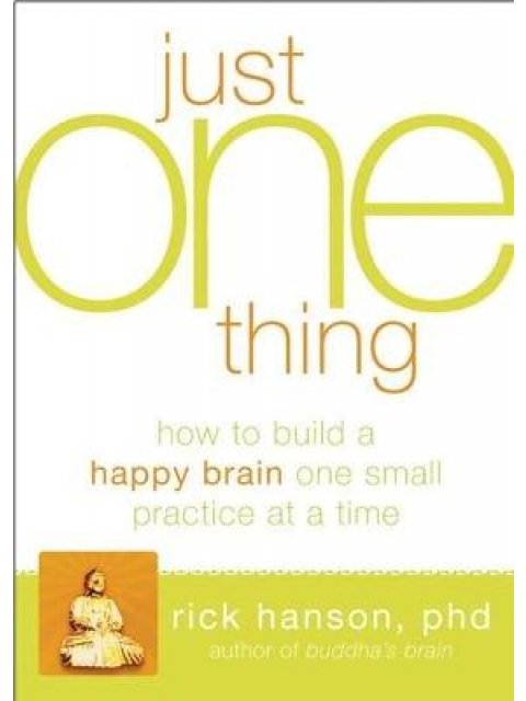 JUST ONE THING DEVELOPING A BUDDHA BRAIN ONE SIMPLE PRACTICE AT A TIME TPB