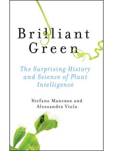 BRILLIANT GREEN : THE SURPRISING HISTORY AND SCIENCE OF PLANT INTELLIGENCE HC