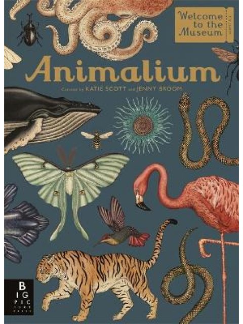 ANIMALIUM WELCOME TO THE MUSEUM HC