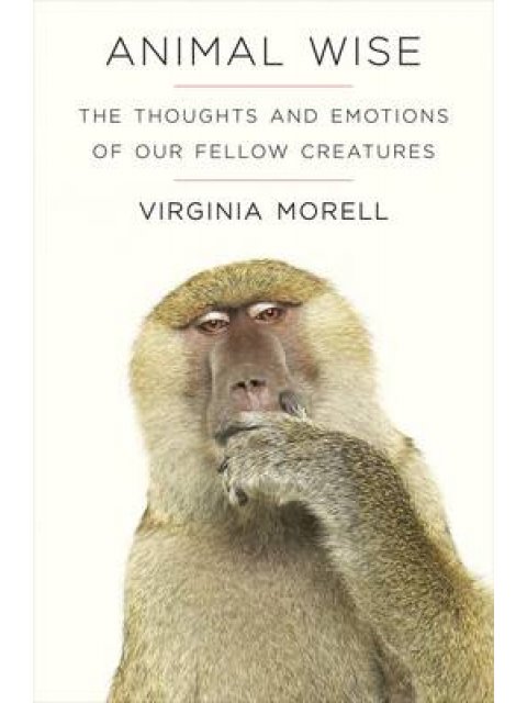 ANIMAL WISE: THE THOUGHTS AND EMOTIONS OF ANIMALS PB