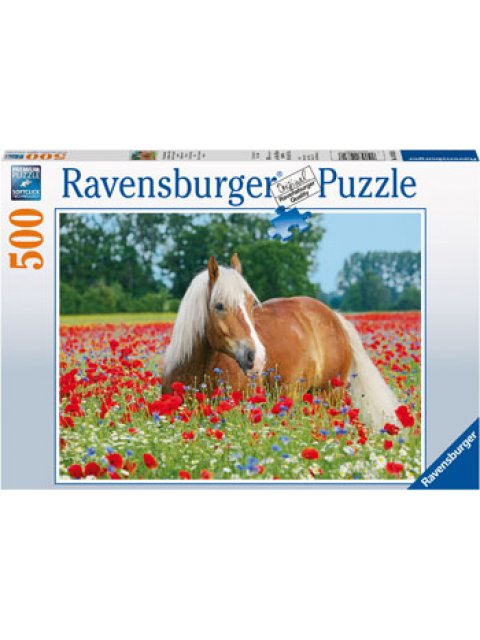 ΠΑΖΛ 500 ΤΕΜ. ΑΛΟΓΑ ΣΤΟ ΛΙΒΑΔΙ