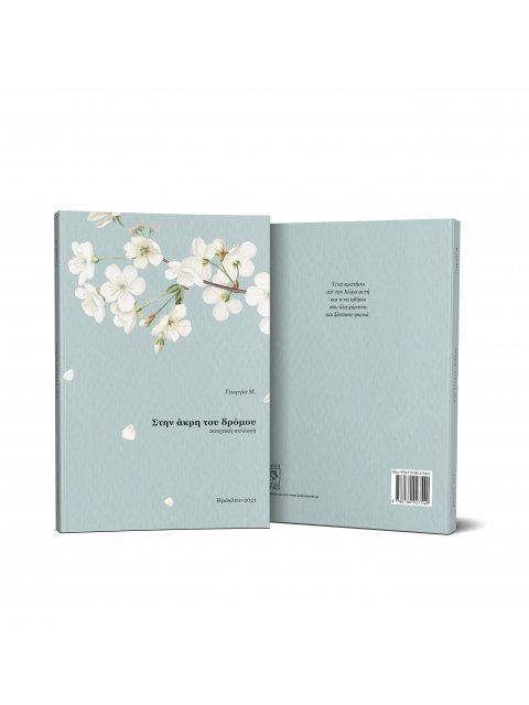 ΣΤΗΝ ΑΚΡΗ ΤΟΥ ΔΡΟΜΟΥ