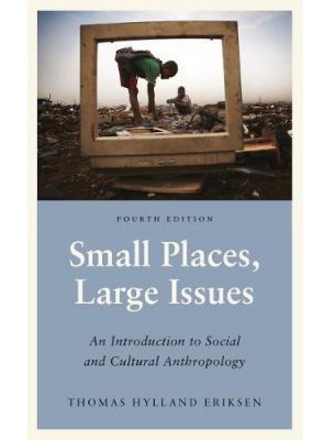 SMALL PLACES, LARGE ISSUES PB