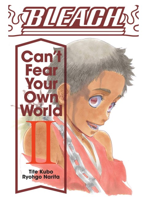 BLEACH :CAN'T FEAR YOUR OWN WORLD VOL.2