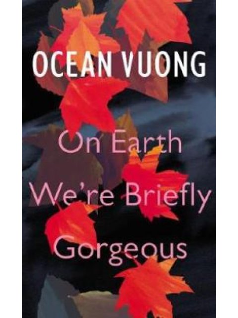 ON EARTH WE'RE BRIEFLY GORGEOUS HC