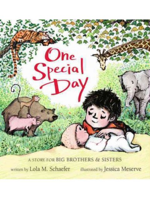 ONE SPECIAL DAY: A STORY FOR BIG BROTHERS & SISTERS  HC