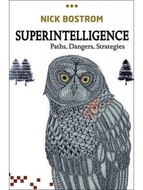 SUPERINTELLIGENCE : PATHS, DANGERS, STRATEGIES