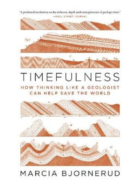 TIMEFULNESS : HOW THINKING LIKE A GEOLOGIST CAN SAVE THE WORLD PB