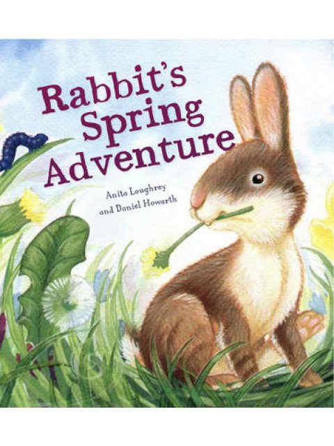 ANIMAL SEASONS : RABBIT'S SPRING ADVENTURE PB