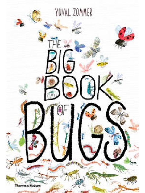 THE BIG BOOK OF BUGS  HC