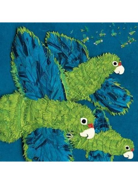 PARROTS OVER PUERTO RICO HC