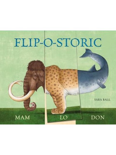 FLIP-O-STORIC BOOK  HC