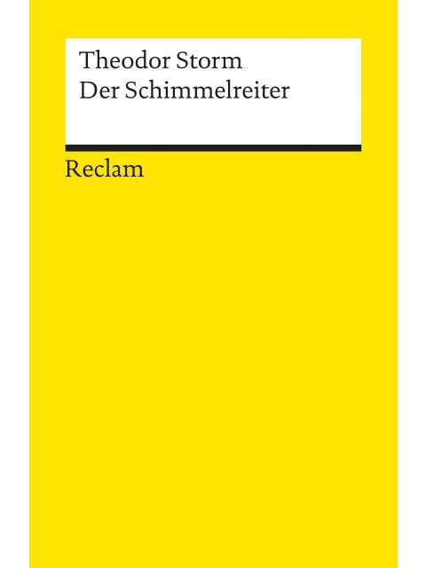 DER SCHIMMELREITER  TASCHENBUCH