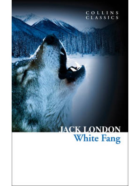 COLLINS CLASSICS : WHITE FANG PB