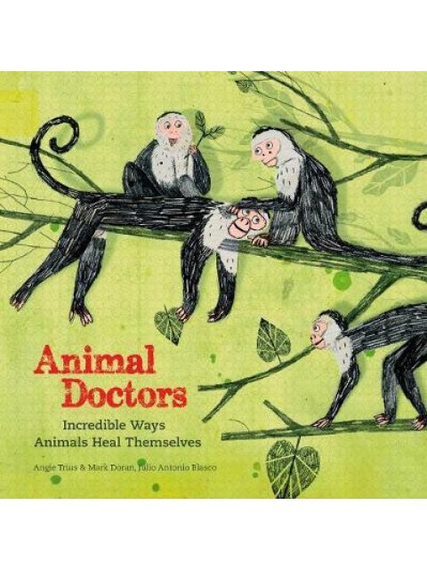 ANIMAL DOCTORS :INCREDIBLE WAYS ANIMALS HEAL THEMSELVES  PB