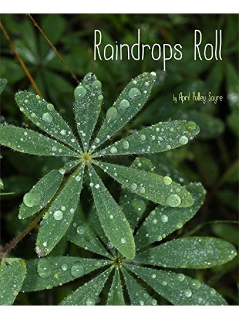 RAINDROPS ROLL: WITH AUDIO RECORDING