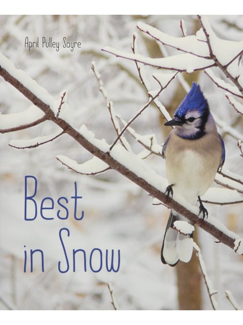 BEST IN SNOW