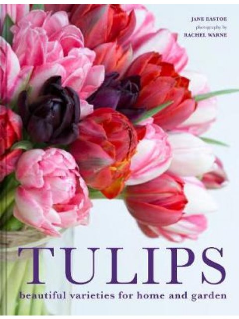 TULIPS HC