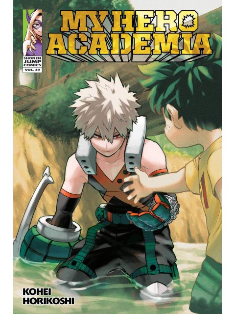 MY HERO ACADEMIA, VOL. 29 PA