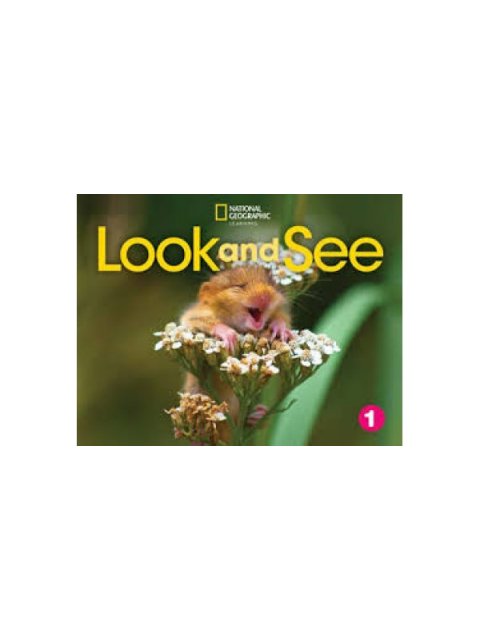 LOOK AND SEE LEVEL 1 AME CLASSROOM PRESENTATION TOOL