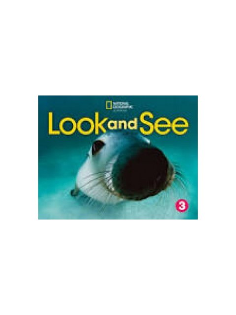 LOOK AND SEE LEVEL 3 BRE FLASHCARDS