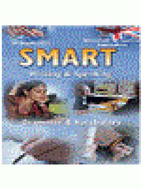 SMART ECCE & ESB B2 EXAM PREPARATION & PRACTICE (WRIT. & SPEAK., GRAM. & VOC.) SB