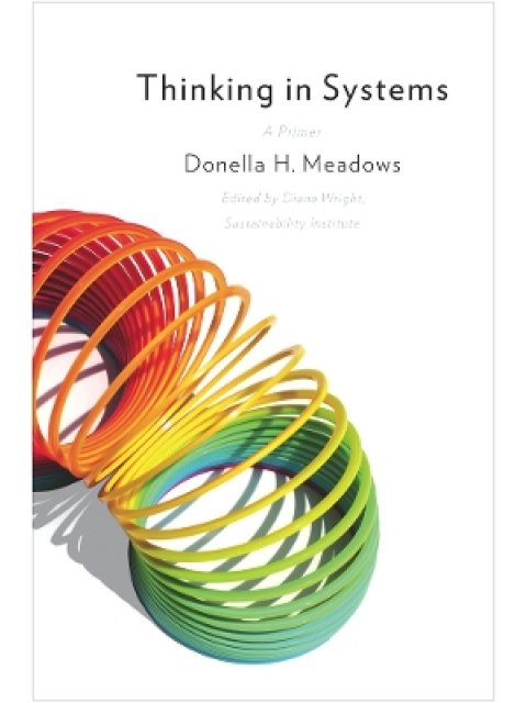 THINKING IN SYSTEMS :INTERNATIONAL BESTSELLER PB