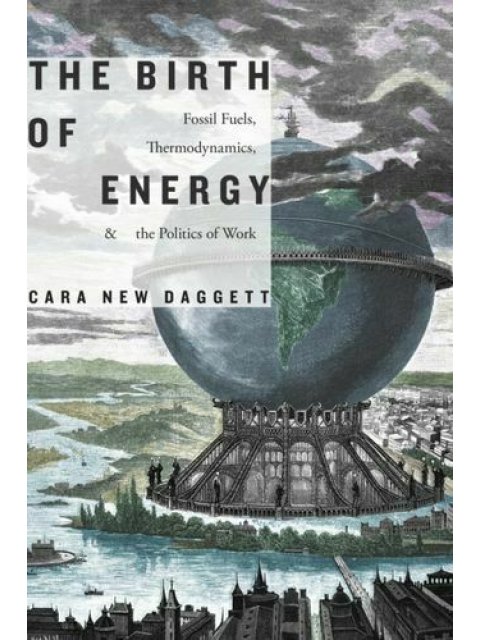 The Birth of Energy : Fossil Fuels, Thermodynamics, and the Politics of Work