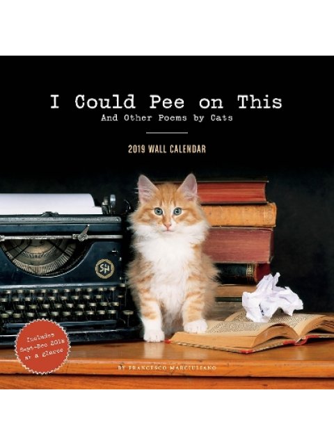 2019 WALL CALENDAR : I COULD PEE ON THIS CALENDAR