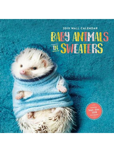 2019 WALL CALENDARS : BABY ANIMALS IN SWEATERS CALENDAR