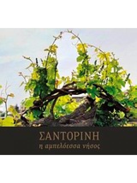 ΣΑΝΤΟΡΙΝΗ, Η ΑΜΠΕΛΟΕΣΣΑ ΝΗΣΟΣ