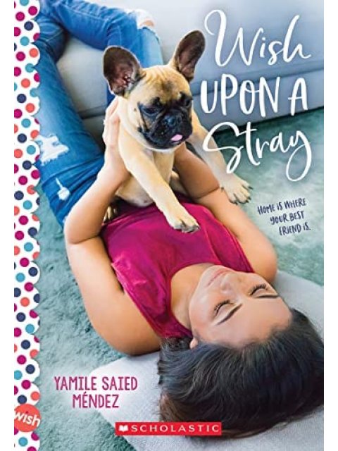 Wish Upon a Stray: A Wish Novel