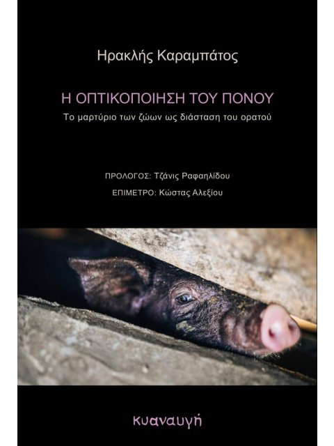 Η ΟΠΤΙΚΟΠΟΙΗΣΗ ΤΟΥ ΠΟΝΟΥ