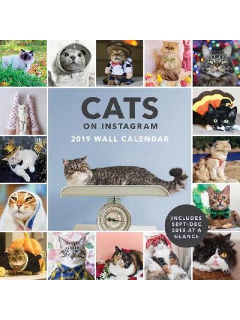 2019 WALL CALENDAR : CATS ON INSTAGRAM CALENDAR