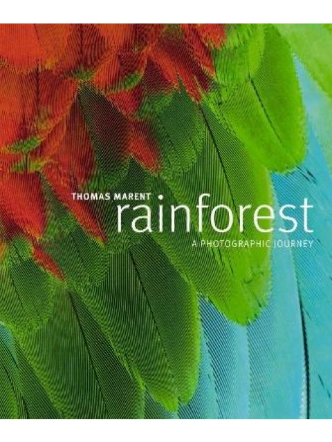 RAINFOREST HC COFFEE TABLE BK.