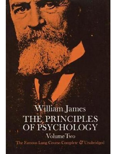 THE PRINCIPLES OF PSYCHOLOGY, VOL. 2