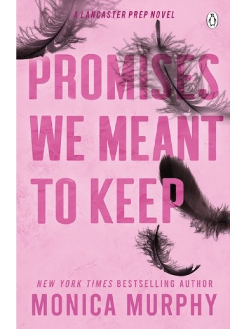 Promises We Meant To Keep : The emotionally gripping and swoon-worthy TikTok sensation