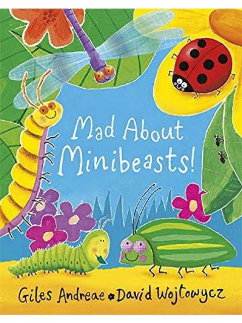 Mad About Minibeasts!