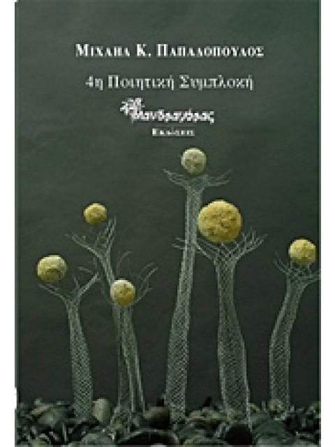 4Η ΠΟΙΗΤΙΚΗ ΣΥΜΠΛΟΚΗ