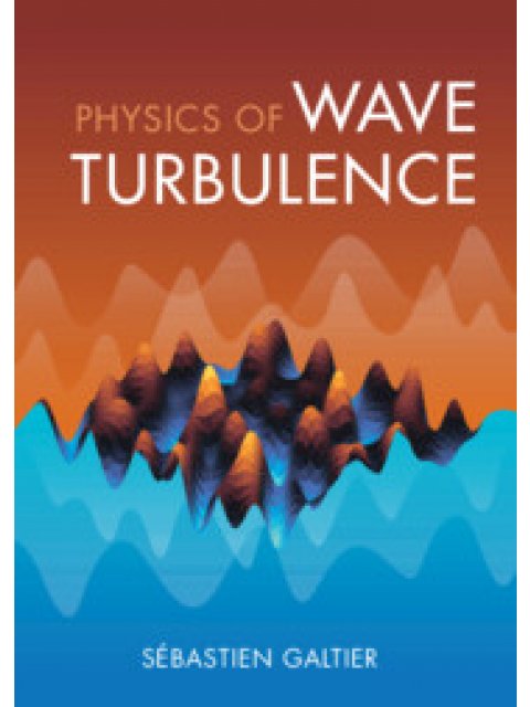 PHYSICS OF WAVE TURBULENCE HC