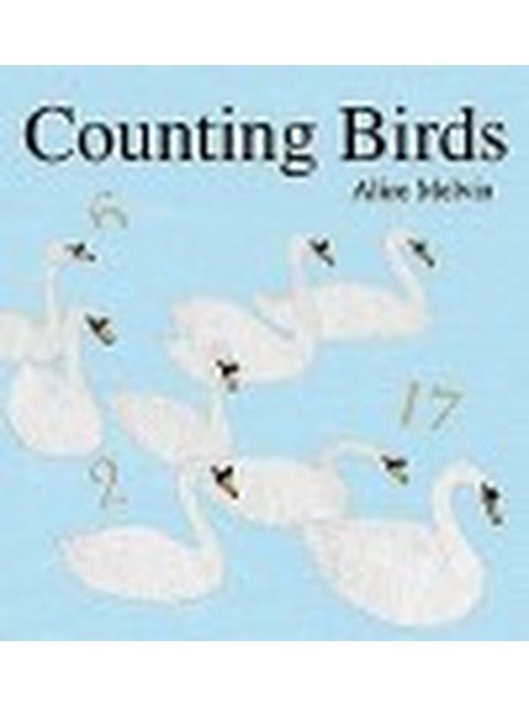 COUNTING BIRDS PB