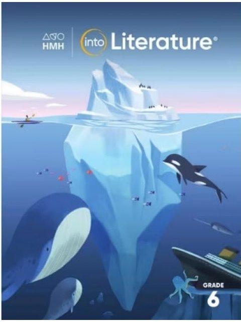 INTO LITERATURE STUDENT EDITION SOFTCOVER GRADE 6 N/E