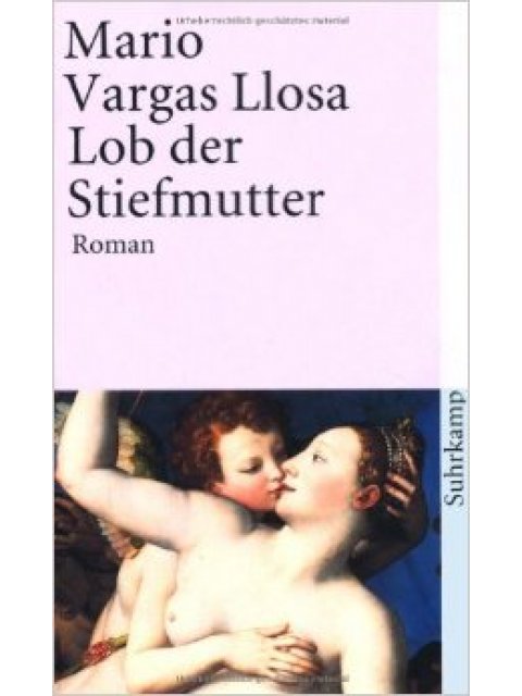 LOB DER STIEFMUTTER TASCHENBUCH