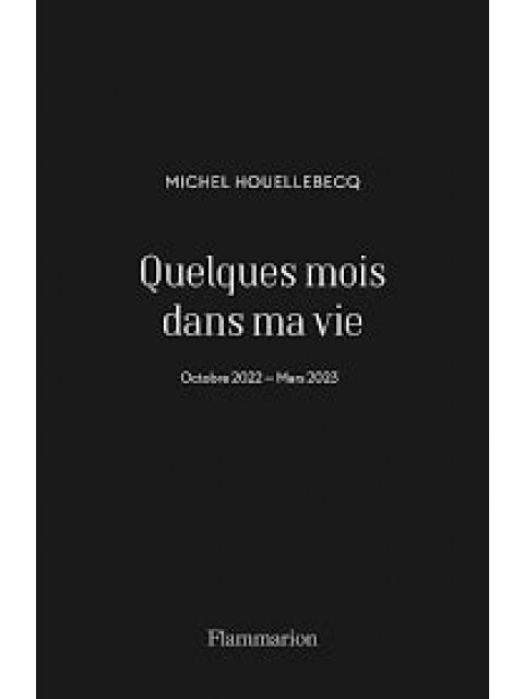 QUELQUES MOIS DANS MA VIE POCHE