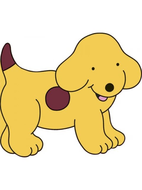 ALL ABOUT SPOT HC BBK