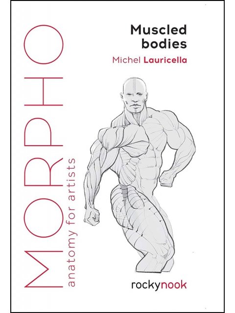 MORPHO: MUSCLED BODIES PB