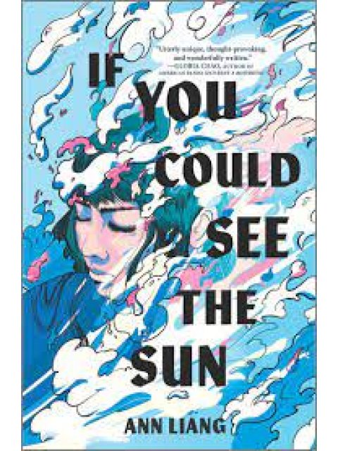 IF YOU COULD SEE THE SUN