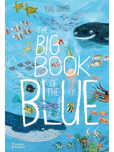 THE BIG BOOK OF THE BLUE HC