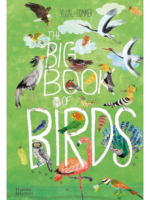 THE BIG BOOK OF BIRDS HC